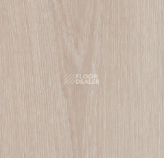 Кварцвиниловые полы Forbo Allura Click 63406CL5 bleached timber фото 1 | FLOORDEALER
